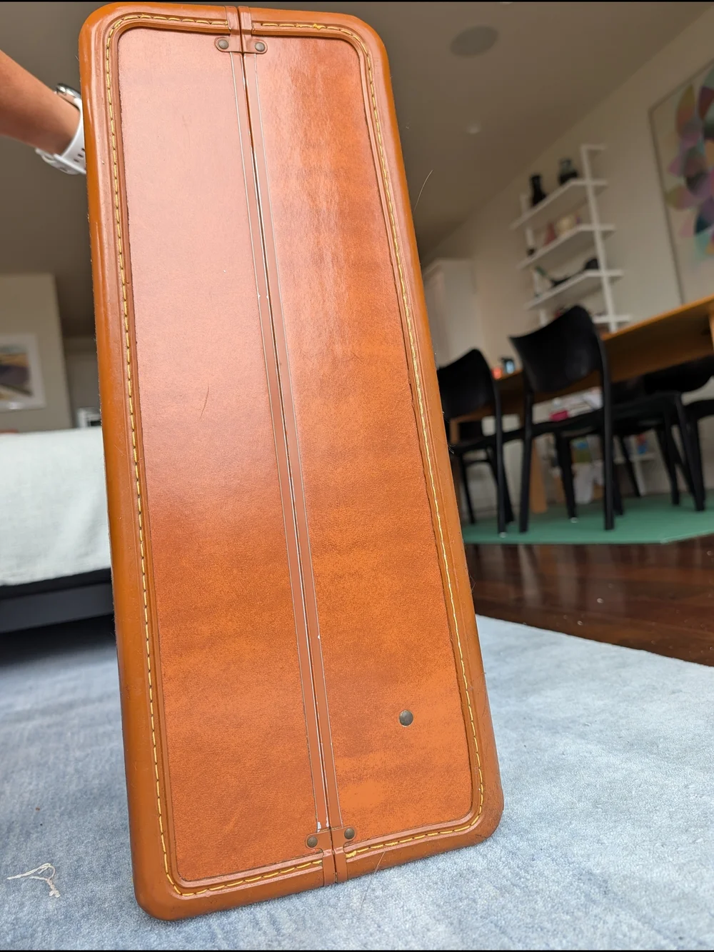 Samsonite streamlite 24”